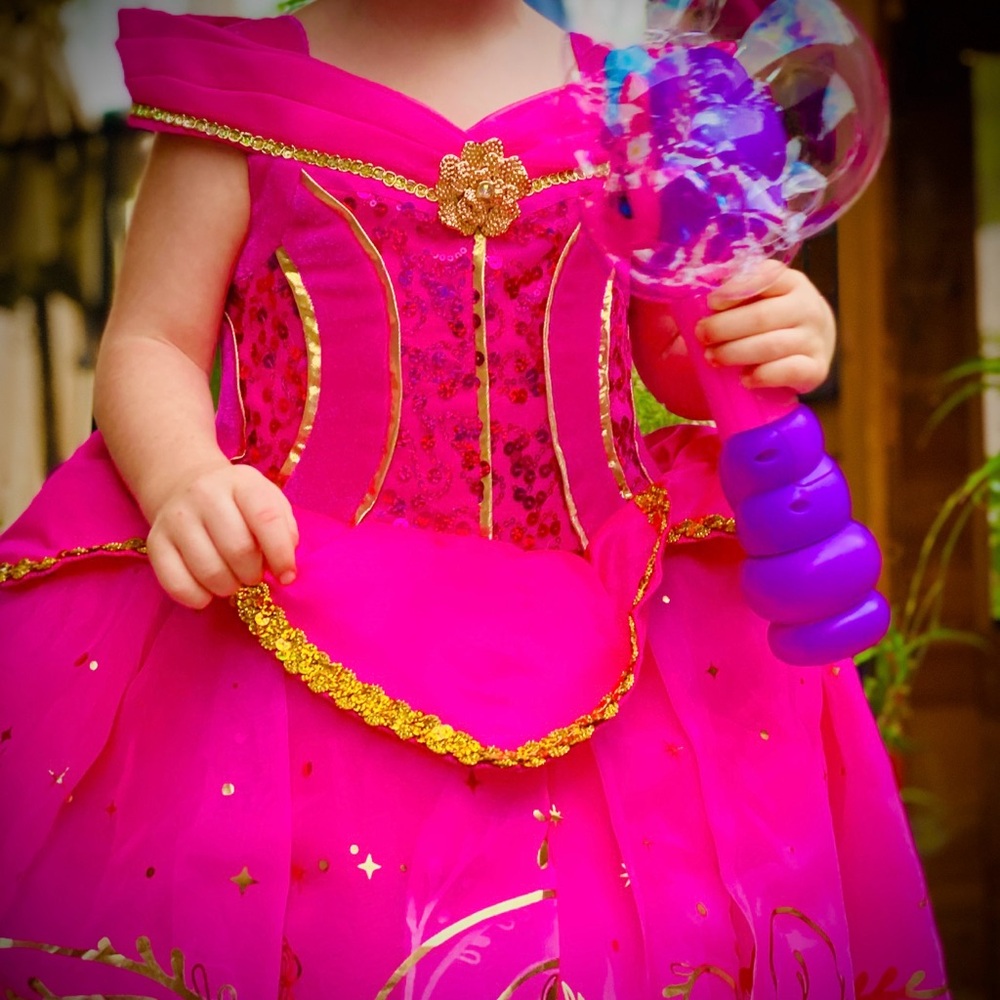 Disneyland Aurora dress